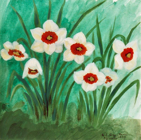 Narcisses (2ème version)
