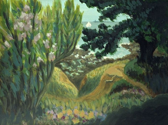 Le chemin des douaniers à St Gildas