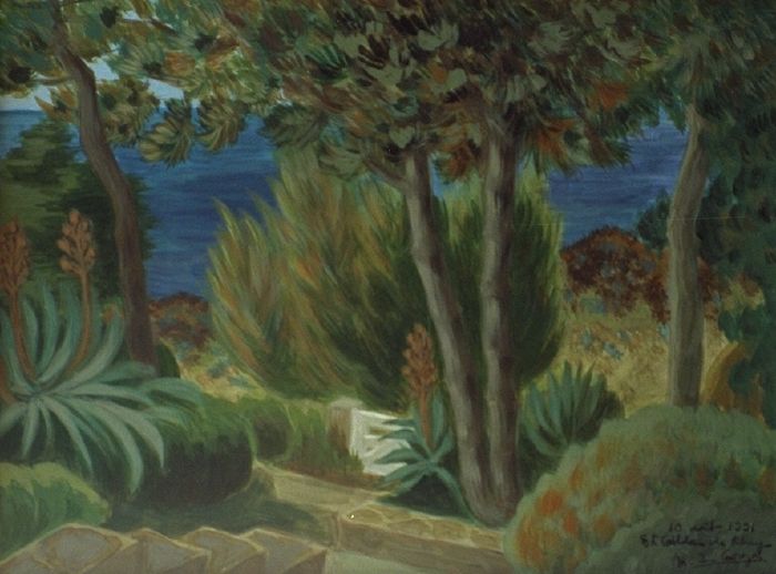 Le jardin le matin (marée basse)