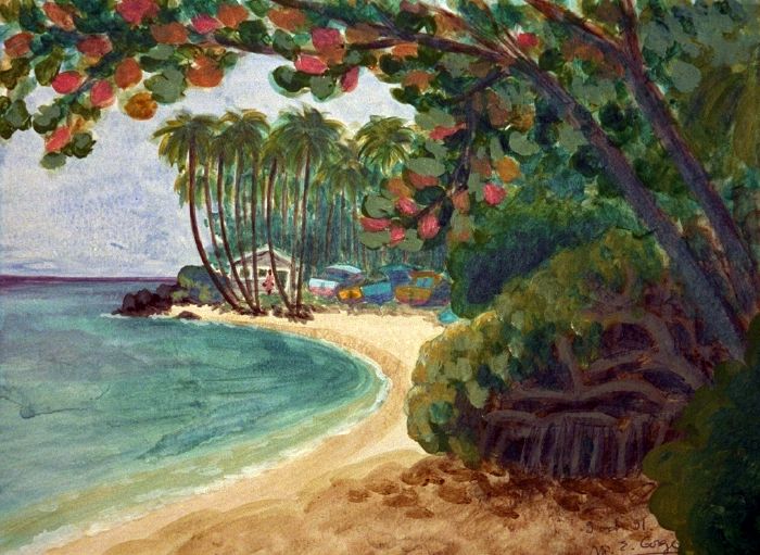 La plage de Cobblers Cove