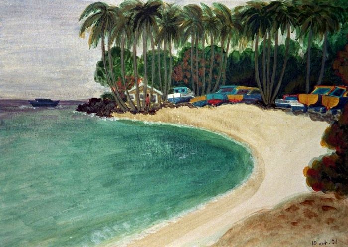 La plage de Cobblers Cove