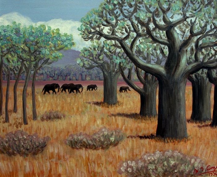 Éléphants et baobabs à Terengire