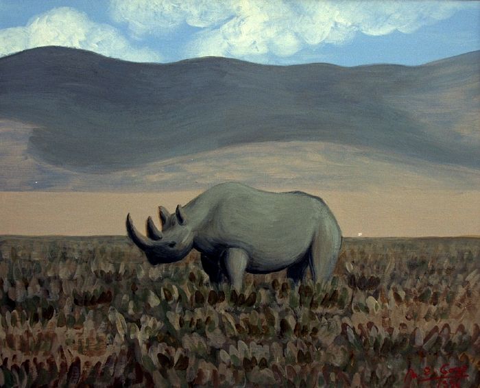 Rhinocéros à Ngorongoro