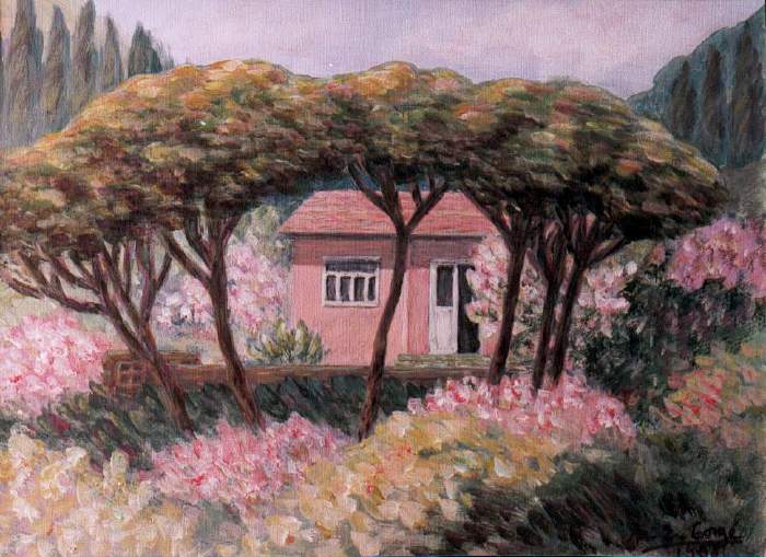 Maison rose en Turquie