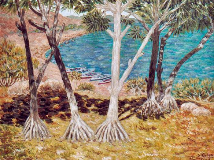 Paysage aux vacoas