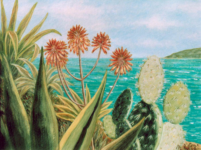 Fleurs devant la mer à Antibes