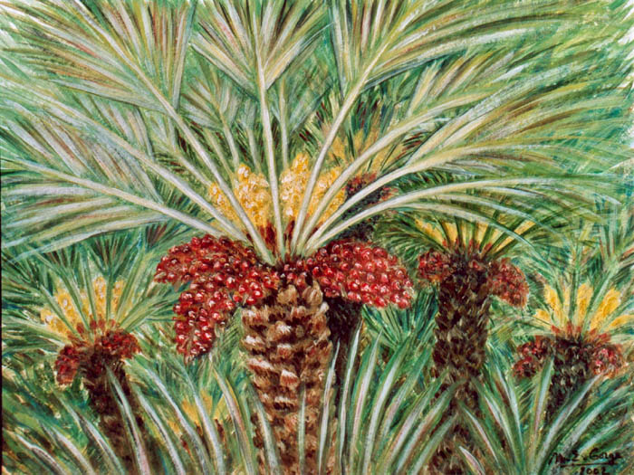 Palmiers dans la région de Nice