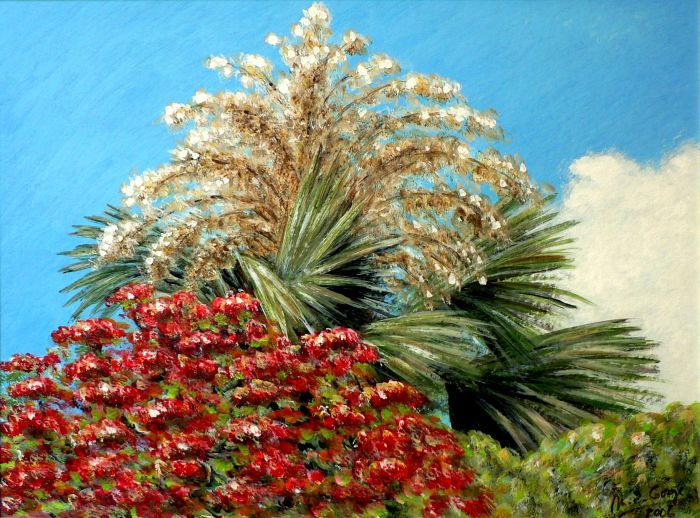 Palmier talipot en fleur et flamboyant