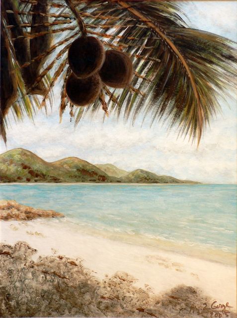 Cocotier sur la plage de Côte d'or