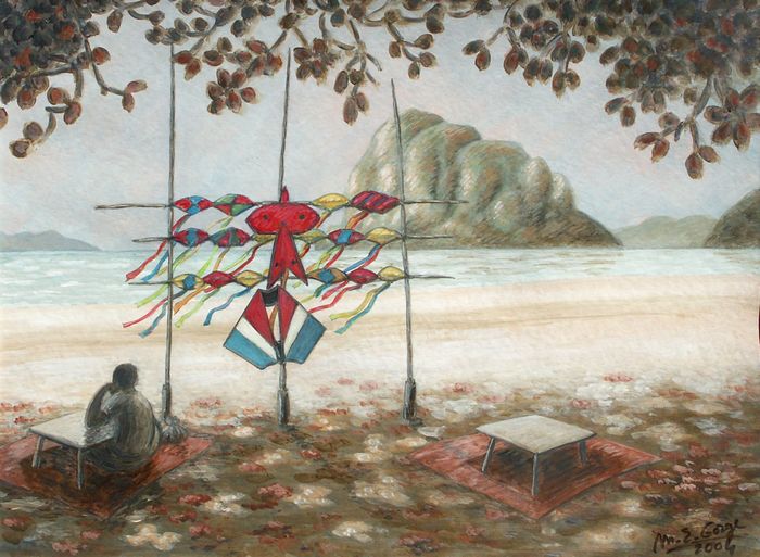 Cerfs-volants sur la plage